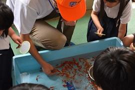 金魚すくいを見せるオレンジ色のキャップの男性とそれを見る子どもたちの写真