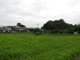 屋外に広がる野原と住宅の写真