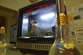 テレビに埋め込まれた水槽で泳いでいる金魚の写真