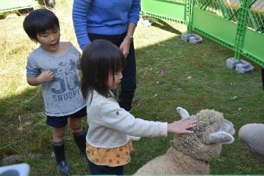 羊の頭を後ろから触る幼稚園児の女の子ととその傍に立つグレーのシャツを着た幼稚園児の男の子の写真
