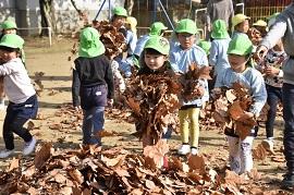 緑色の帽子を被った幼稚園児たちが落ち葉を運んでいる写真