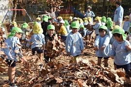 緑色や黄色の帽子を被った幼稚園児たちが落ち葉の前にいる写真