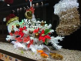 金魚たちが泳ぐ水槽の中にある、クリスマス用に赤、緑、白など色とりどりに飾り付けされたオブジェの写真