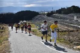 坂下からビニールハウスを追い越して坂を登り走るマラソン参加者達の写真