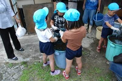 バケツを囲み藍染め体験をする三人の園児の写真