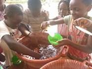 アフリカの子供たちが金魚すくいを楽しんでいる処の写真