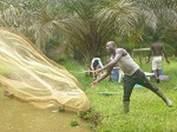屈強そうなアフリカの男性が近所の河で投網を行った瞬間の写真