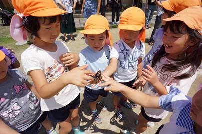 1人の女の子の手に止まったオオムラサキを観に集まった園児たちの写真