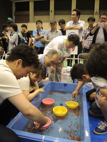 大きな青色の桶に入った金魚を一斉にすくう参加者の写真