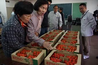 ずらりと並んだイチゴを二人の年配の女性が品定めをしている処の写真