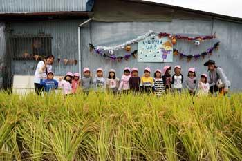 お米の実った田んぼの奥で一列に整列している子供たちの写真