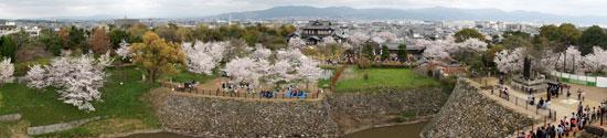天守台展望台から眺めた公園の桜とそこに集っている人々の写真
