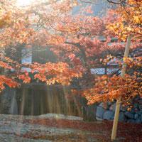 郡山城跡にて色づく紅葉の写真