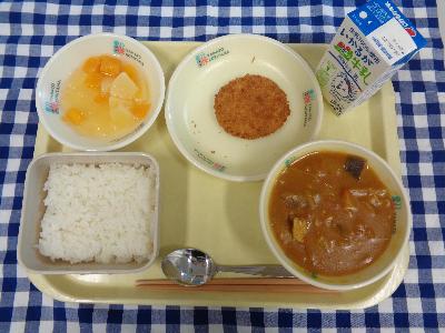 6-19shougakkoukondate