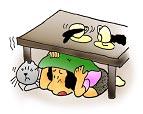 地震が発生したので、枕で頭を守りつつ机の下に避難している女性と飼い猫のイラスト