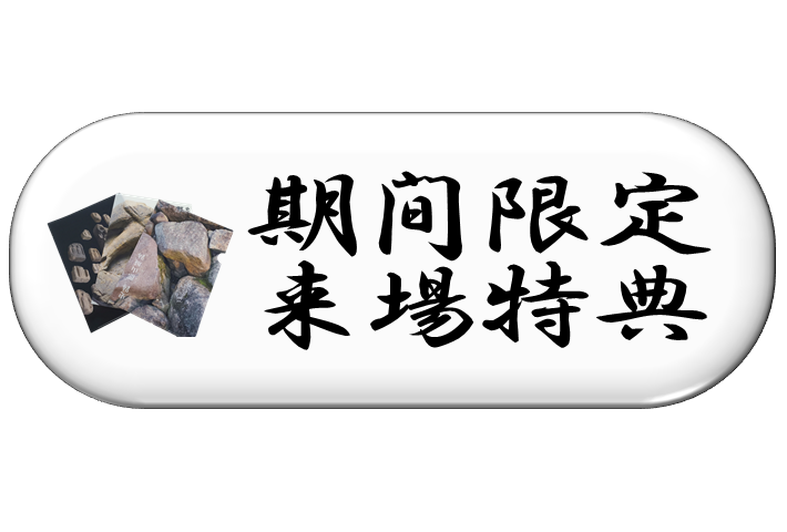 期間限定来場特典